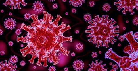 Coronavirus, in Puglia 36 nuovi casi: positivo il 2,78% dei tamponi